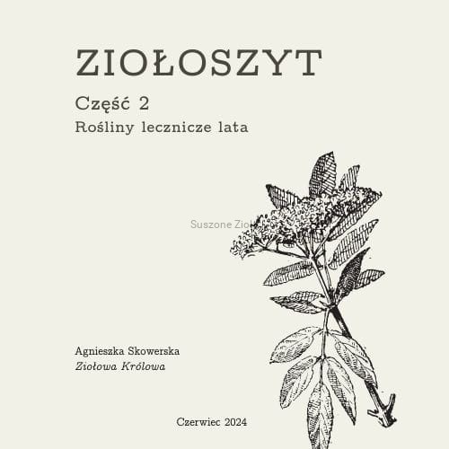 Projekt bez nazwy-114.jpg