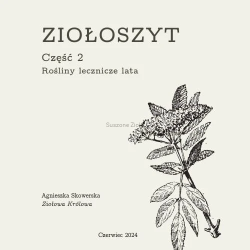 Projekt bez nazwy-114.jpg