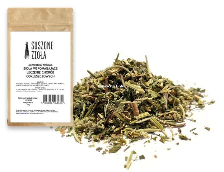 Zrzut ekranu 2025-08-11 o 16.10.08.png